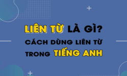 Conjunction là gì? Cách dùng conjunction trong tiếng Anh.