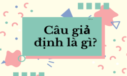 Câu giả định là gì?