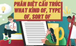 Phân biệt giữa cấu trúc What kind of và Type of, Sort of trong tiếng Anh