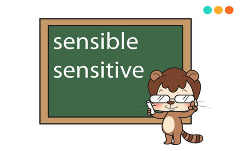 Phân biệt Sensible và Sensitive trong tiếng Anh