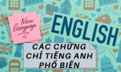 Các chứng chỉ tiếng Anh phổ biến tại Việt Nam