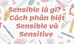 Sensible là gì? - Cách phân biệt giữa Sensible và Sensitive trong tiếng Anh