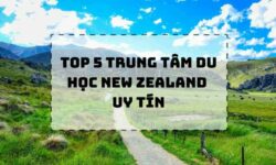 TOP 5 trung tâm tư vấn du học New Zealand uy tín nhất 2021