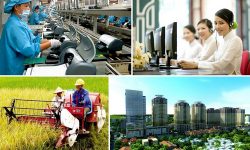 Chức năng quản lý kinh tế của nhà nước