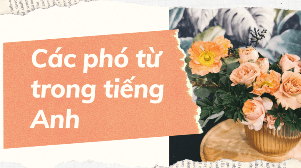 Các phó từ trong tiếng Anh